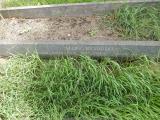 image of grave number 684067